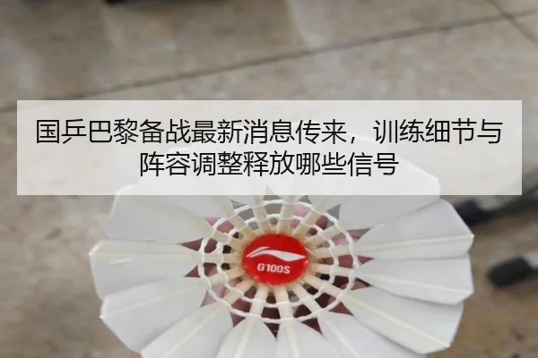 国乒巴黎备战最新消息传来，训练细节与阵容调整释放哪些信号